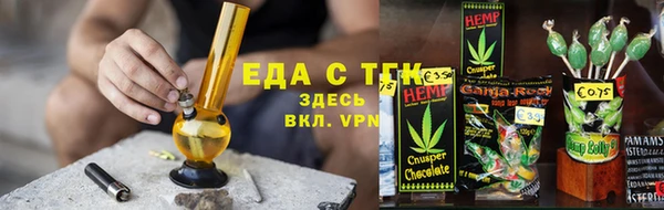 прущие грибы Елизово