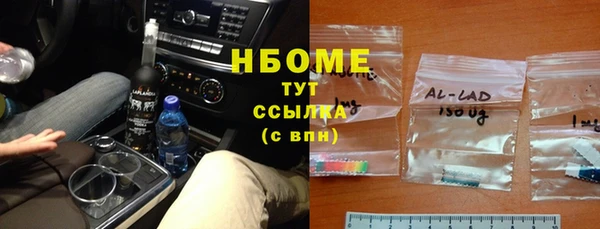 гидра Ельня