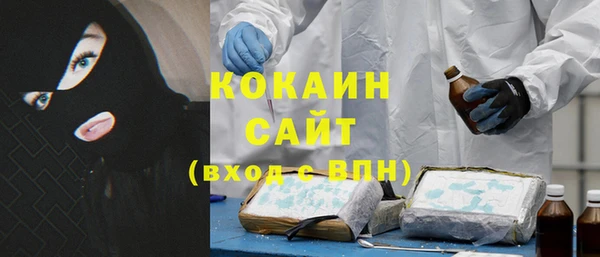 гидра Ельня