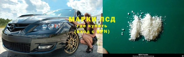 гидра Ельня