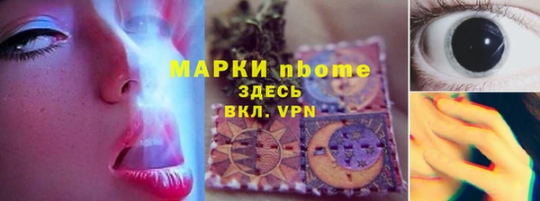 гидра Ельня