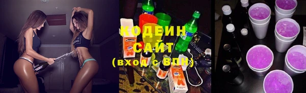 гидра Ельня