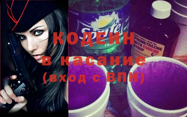 прущие грибы Елизово