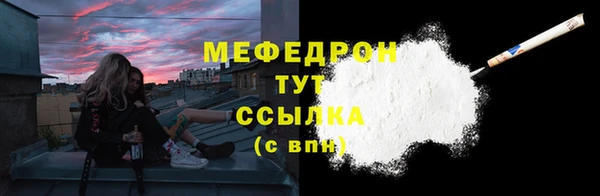 гидра Ельня