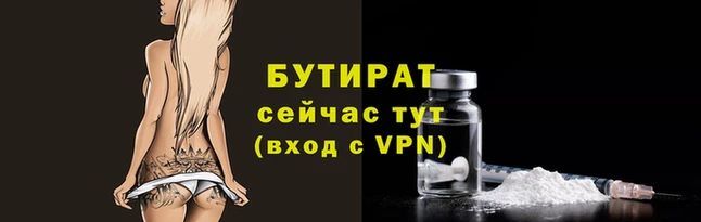 гидра Ельня