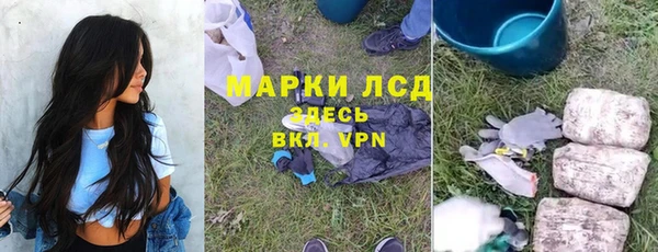 гидра Ельня