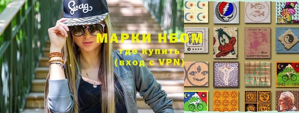 гидра Ельня