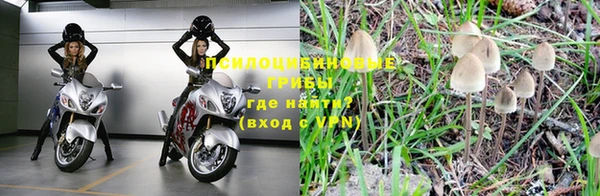 гидра Ельня