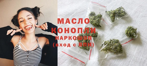 гидра Ельня