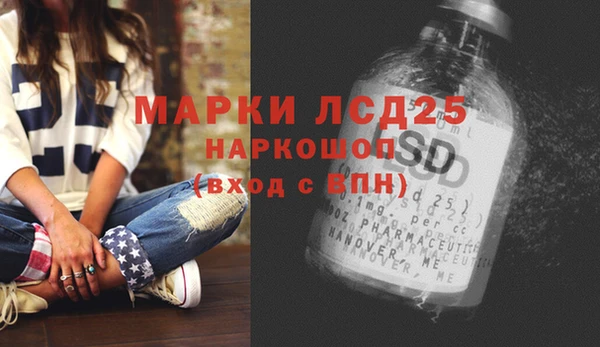 прущие грибы Елизово