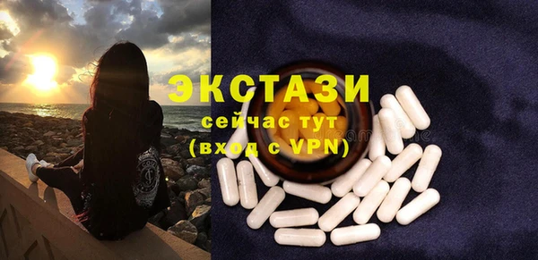 гидра Ельня
