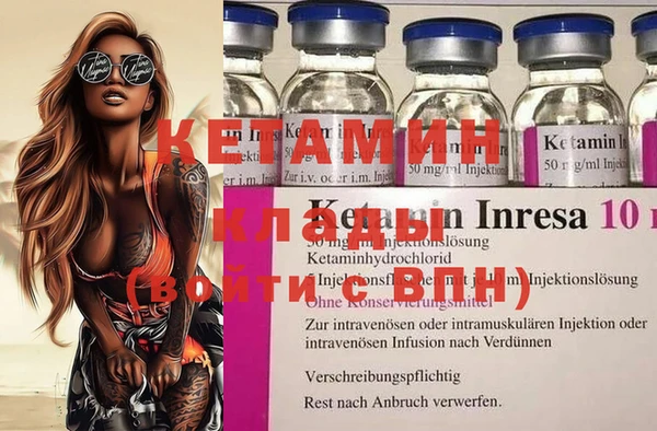 прущие грибы Елизово