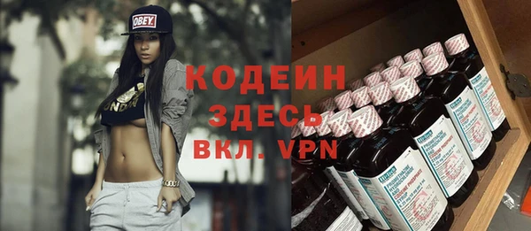 прущие грибы Елизово