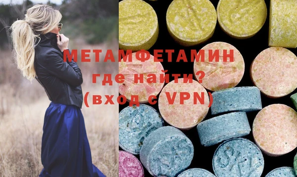прущие грибы Елизово