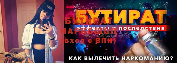 гидра Ельня