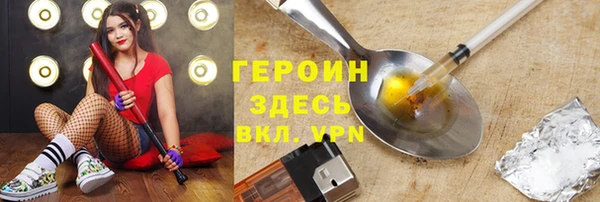 гидра Ельня