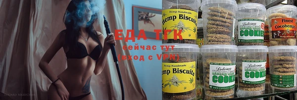 гидра Ельня